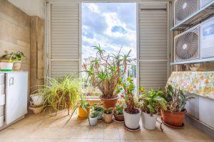 3d9a3736-hdr-2