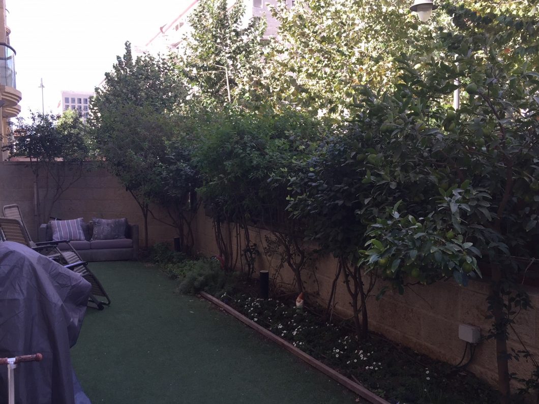 garden-2